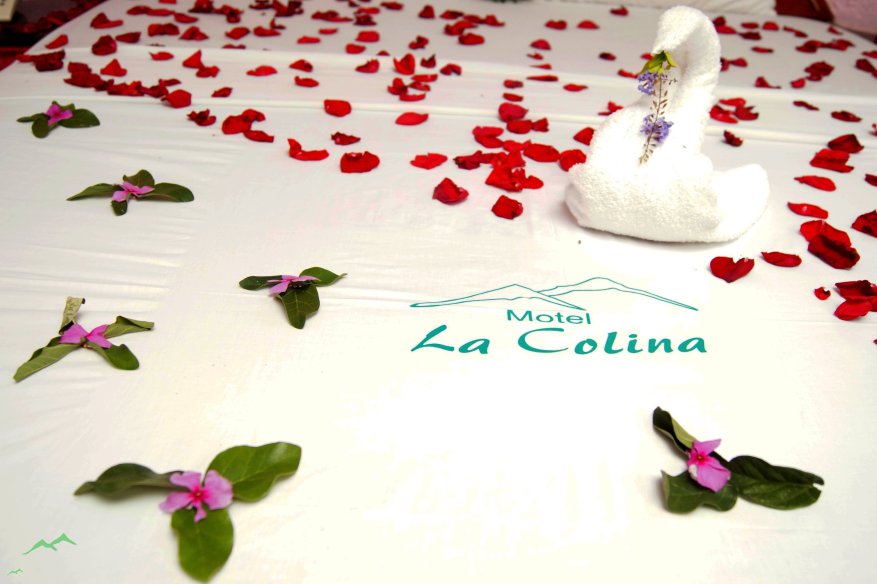 Motel La Colina :Habitacion EJECUTIVA